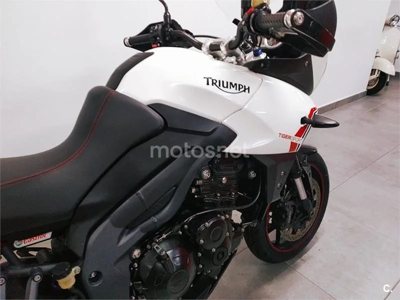 Triumph Tiger Sport 1050 – Vista 11