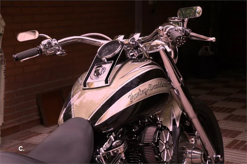 Harley-Davidson Fat Boy – Vista 2