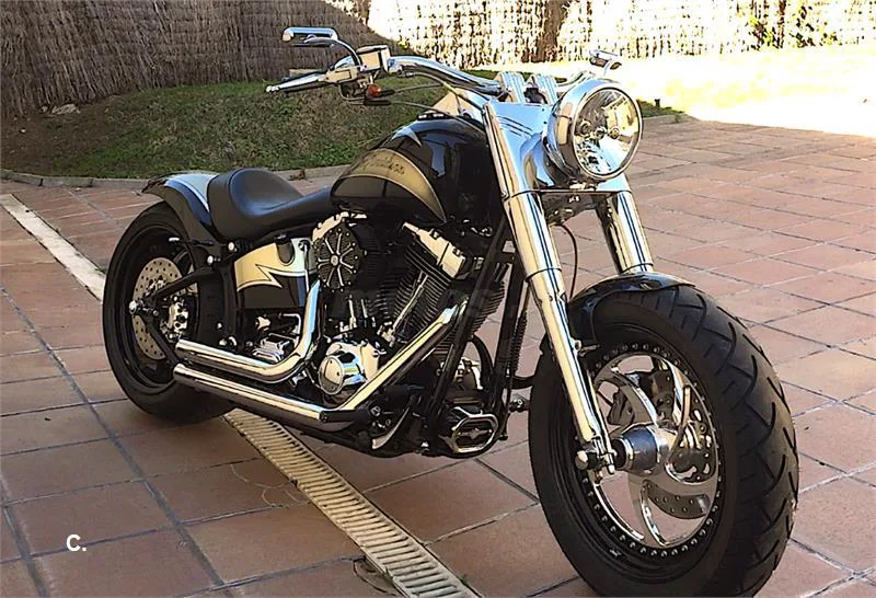 Harley-Davidson Fat Boy – Vista 4
