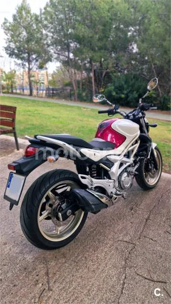 Suzuki Gladius 650 – Vista 2