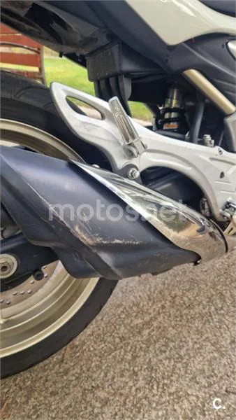 Suzuki Gladius 650 – Vista 15