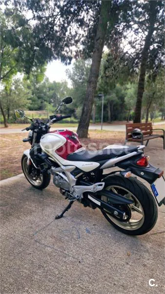 Suzuki Gladius 650 – Vista 4