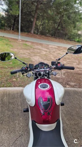 Suzuki Gladius 650 – Vista 8