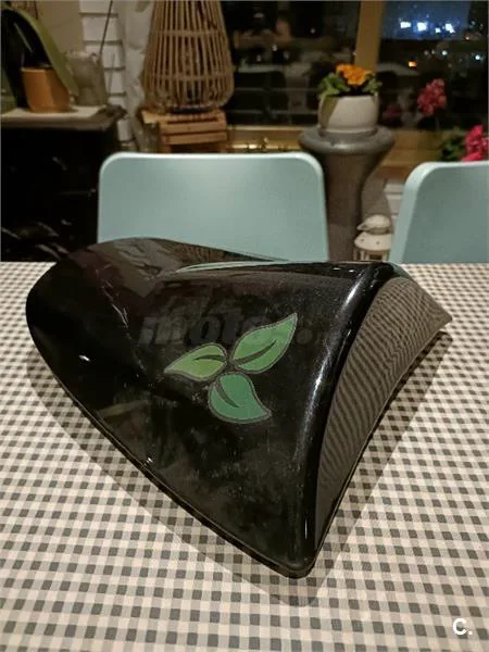 Kawasaki Z 750 – Vista 5