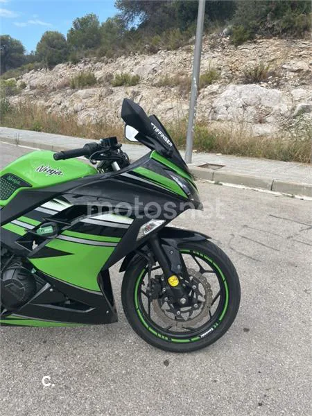 Kawasaki Ninja 300 – Vista 3