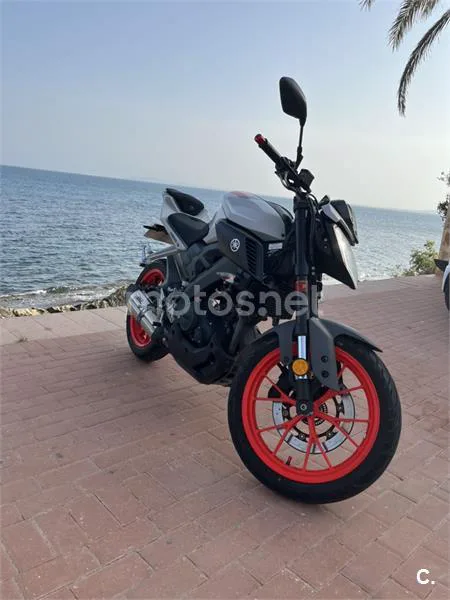 Yamaha MT-125 – Vista 4