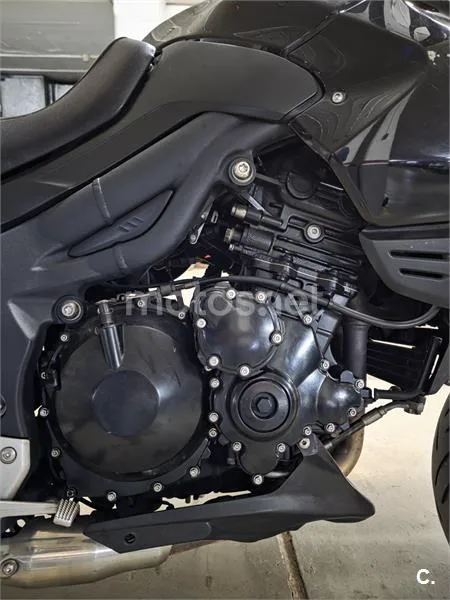 Triumph Tiger 1050 – Vista 6