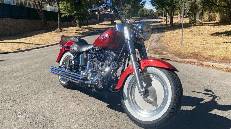 Harley-Davidson Fat Boy – Vista 11