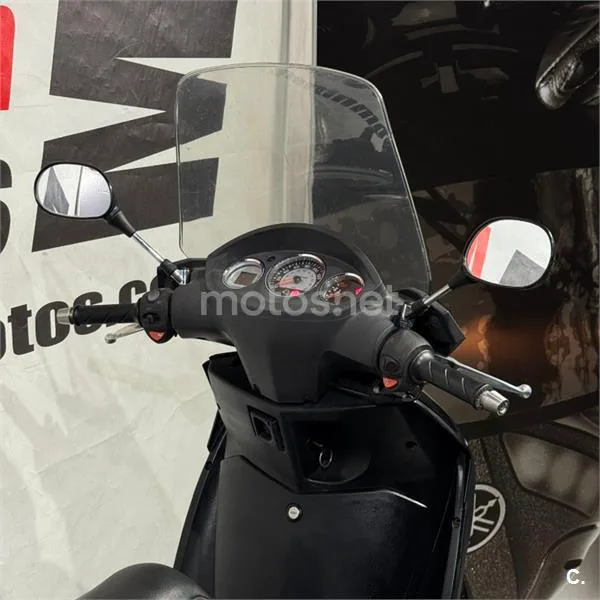 Peugeot GEOPOLIS 250 PREMIUM – Vista 12