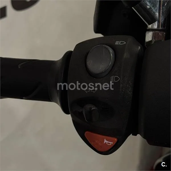 Peugeot GEOPOLIS 250 PREMIUM – Vista 13
