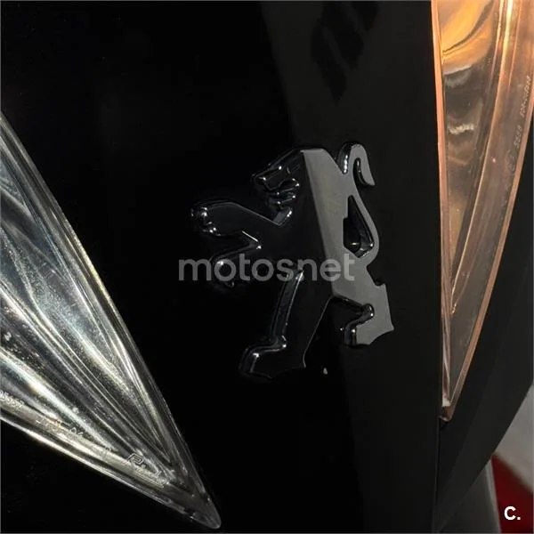 Peugeot GEOPOLIS 250 PREMIUM – Vista 8