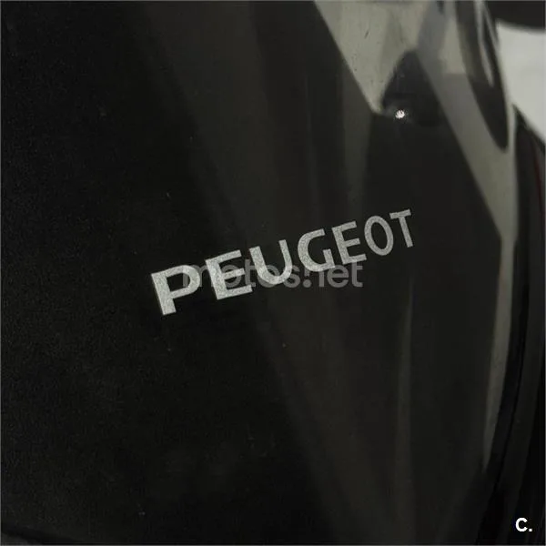 Peugeot GEOPOLIS 250 PREMIUM – Vista 10