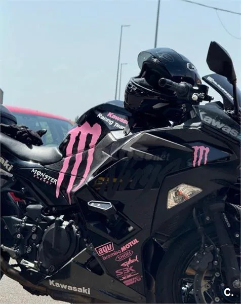 Kawasaki Ninja 500 – Vista 4