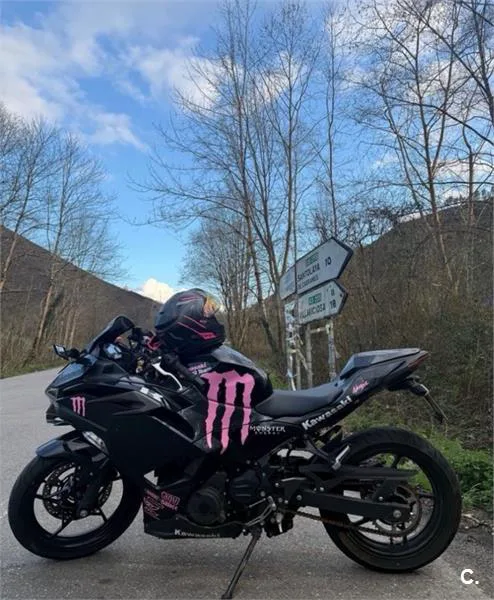 Kawasaki Ninja 500 – Vista 8