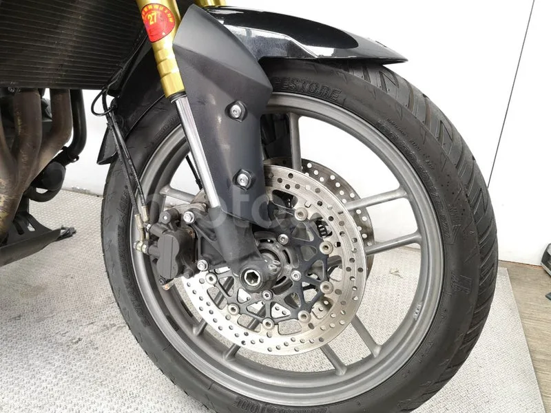 Triumph Tiger 800 – Vista 11