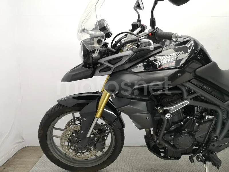 Triumph Tiger 800 – Vista 19