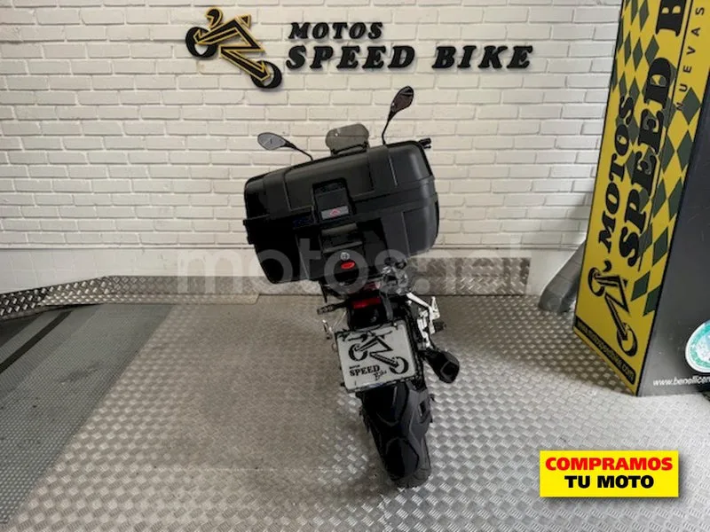 Benelli TRK – Vista 17
