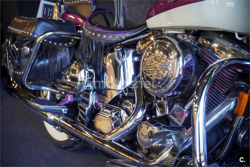 Harley-Davidson Softail Heritage – Vista 16