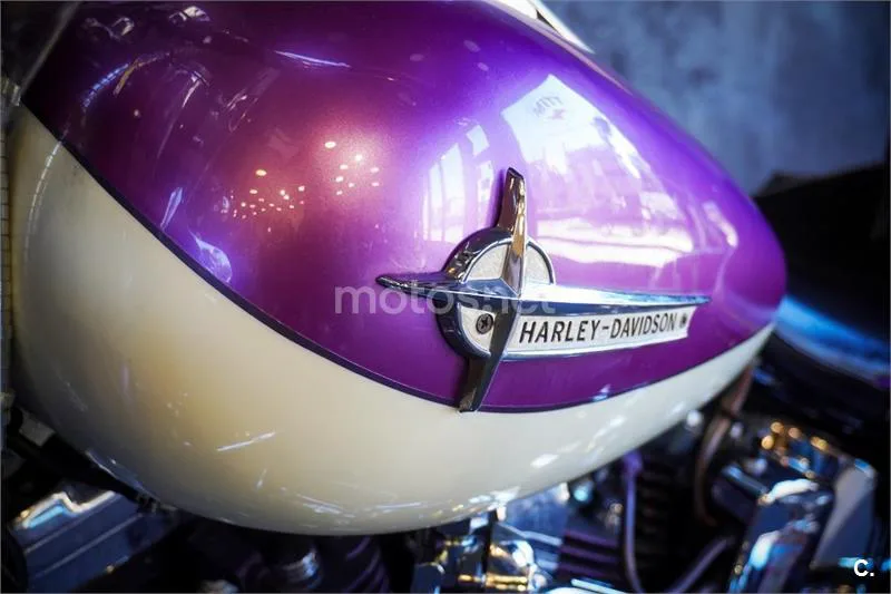 Harley-Davidson Softail Heritage – Vista 27