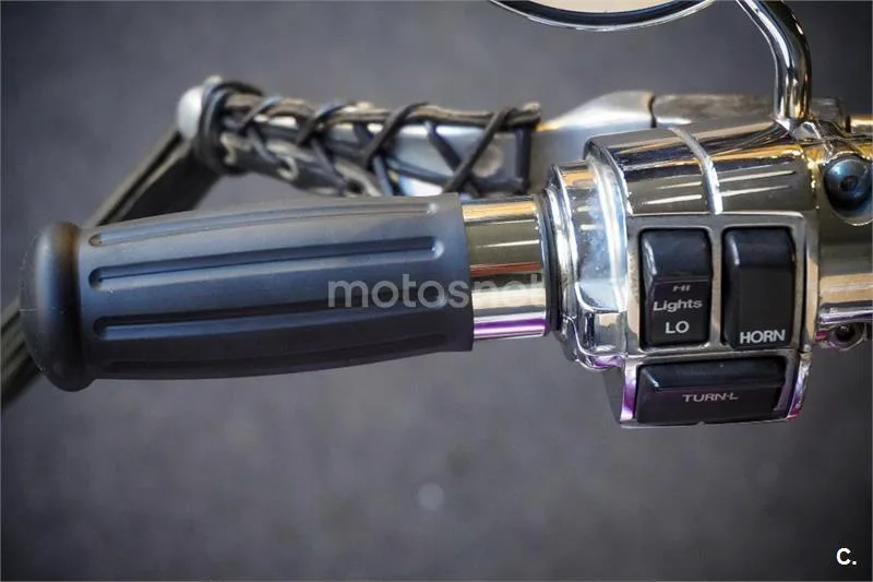 Harley-Davidson Softail Heritage – Vista 31