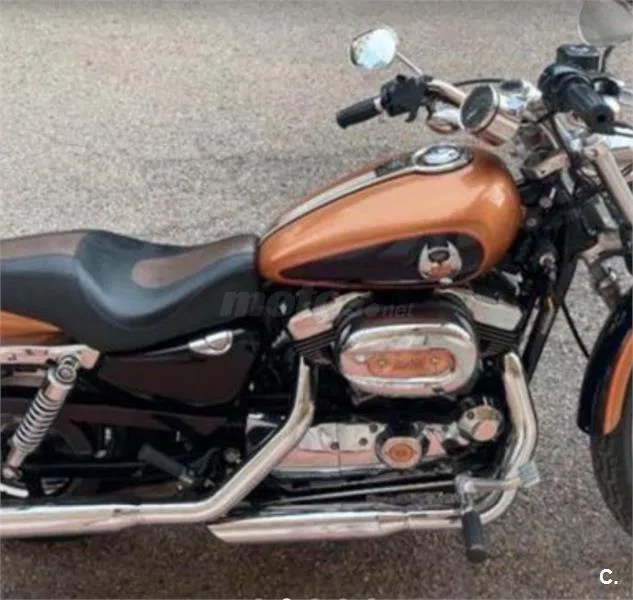 Harley-Davidson Sportster 1200 – Vista 4