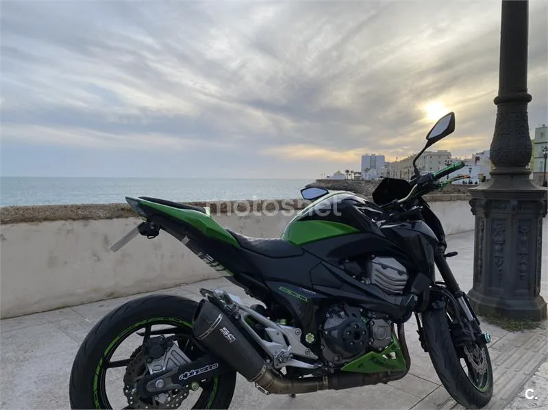 Kawasaki Z 800e – Vista 9