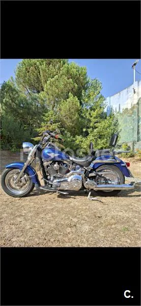 Harley-Davidson Fat Boy – Vista 3