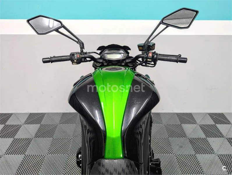 Kawasaki Z1000 – Vista 8