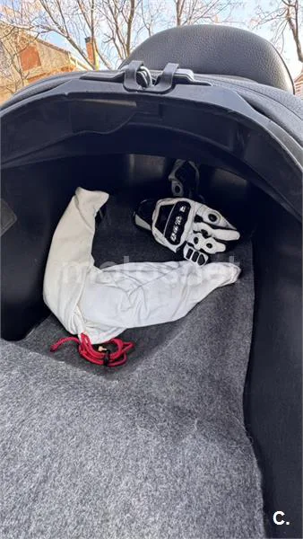 Honda Forza 250 EX – Vista 6