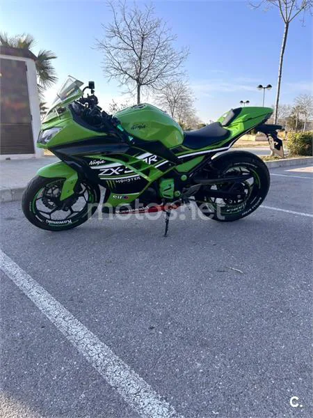 Kawasaki Ninja 300 – Vista 5