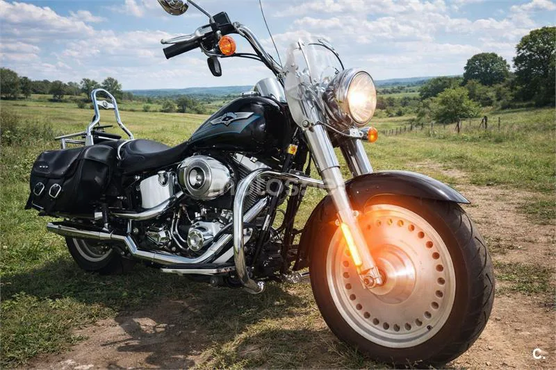 Harley-Davidson Bad Boy 1300 – Vista 3