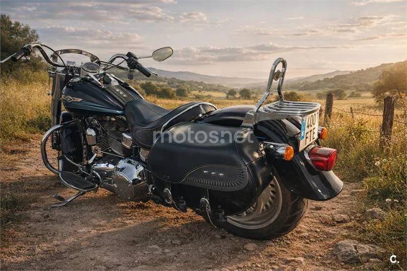 Harley-Davidson Bad Boy 1300 – Vista 4