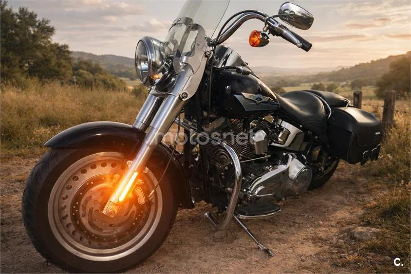 Harley-Davidson Bad Boy 1300 – Vista 5