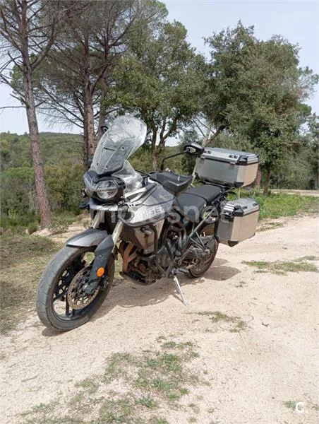 Triumph Tiger 800 XRT – Vista 19