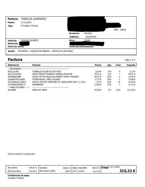 Yamaha XMAX 250 – Vista 3