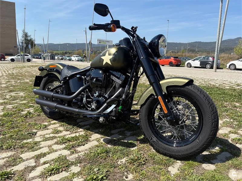 Harley-Davidson Softail Slim – Vista 2