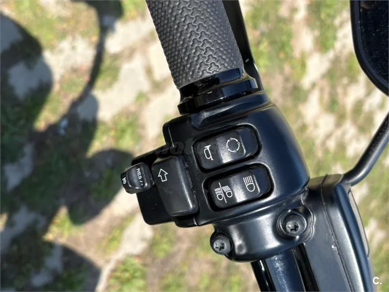 Harley-Davidson Softail Slim – Vista 8