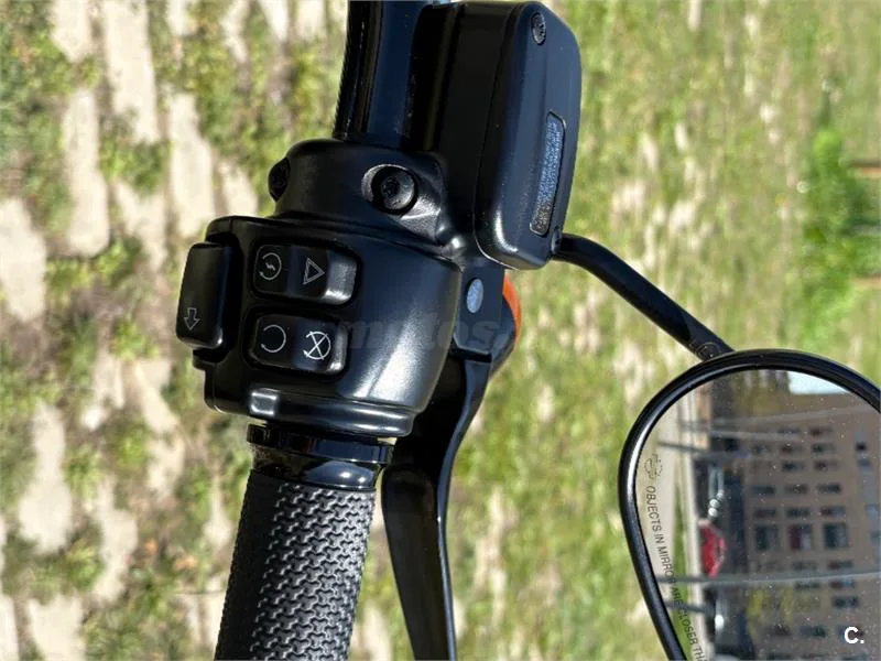 Harley-Davidson Softail Slim – Vista 9