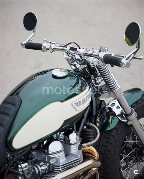 Triumph Bonneville T100 – Vista 3