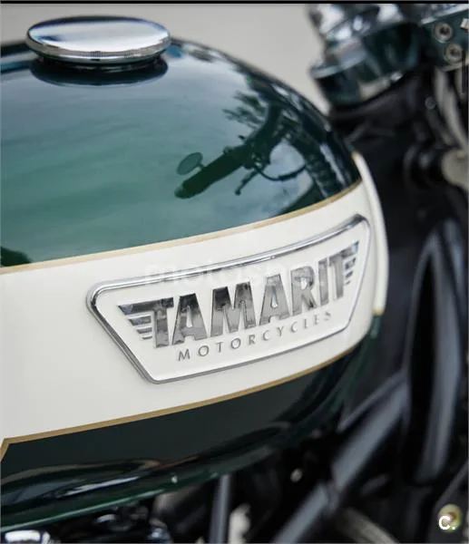 Triumph Bonneville T100 – Vista 4