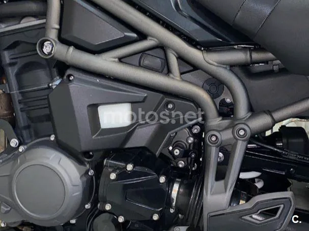 Triumph Tiger Explorer - Vista 6