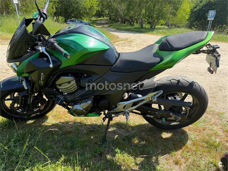 Kawasaki Z 800e – Vista 2