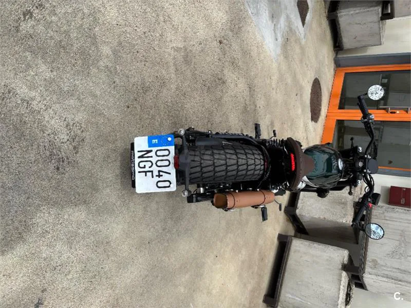 Benda Napoleon Bob 250 – Vista 5