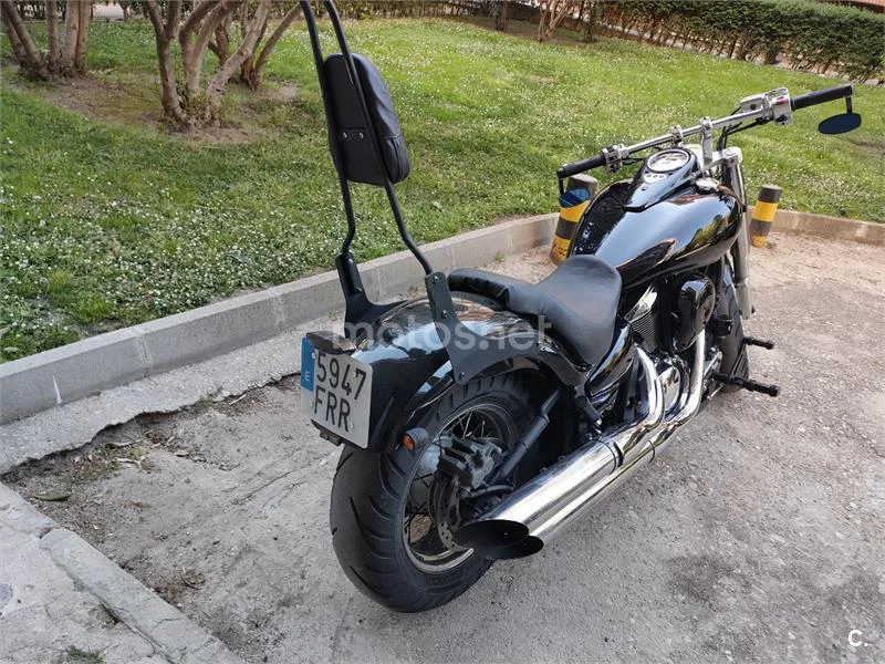 Kawasaki VN 900 Classic – Vista 5