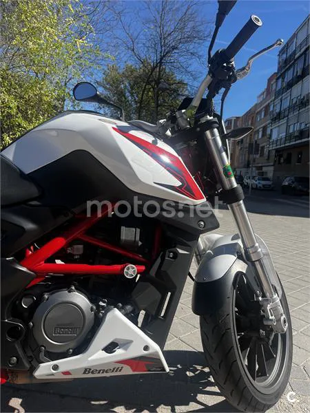 Benelli BN 251 – Vista 4