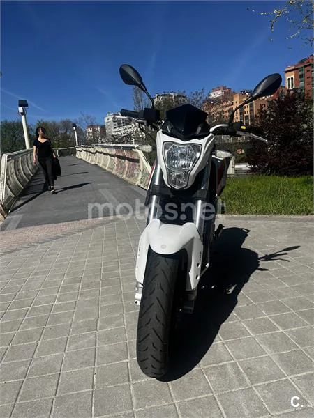 Benelli BN 251 – Vista 9