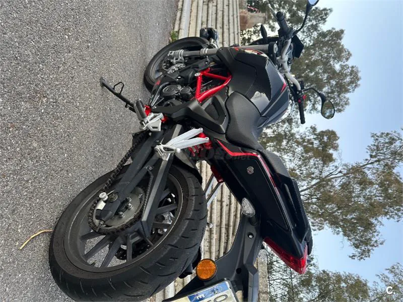 Benelli BN 251 – Vista 2