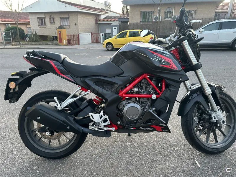 Benelli BN 251 – Vista 4