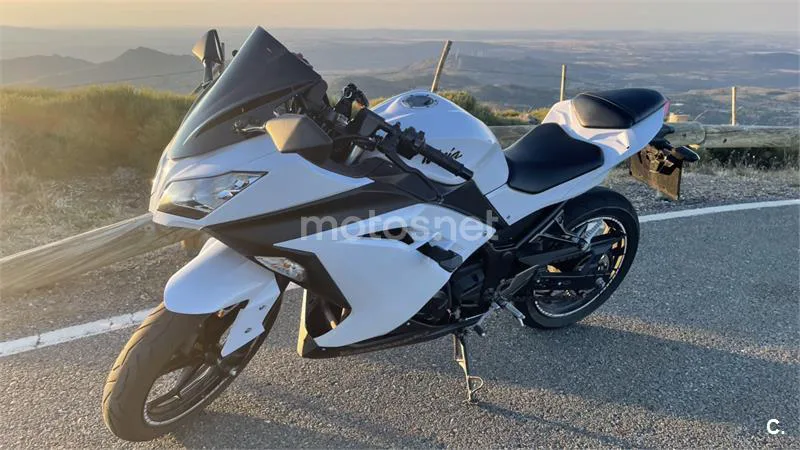 Kawasaki Ninja 300 – Vista 6