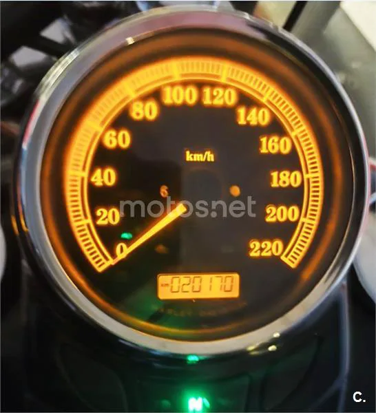 Harley-Davidson Softail Slim – Vista 11